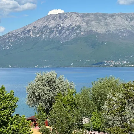 Elio Поградец